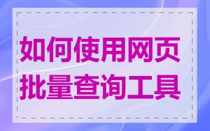 如何使用网页批量查询工具