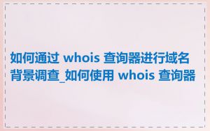 如何通过 whois 查询器进行域名背景调查_如何使用 whois 查询器