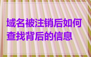 域名被注销后如何查找背后的信息
