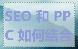 SEO 和 PPC 如何结合