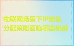 物联网场景下IP地址分配策略面临哪些挑战
