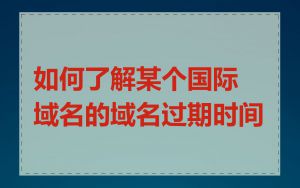 如何了解某个国际域名的域名过期时间