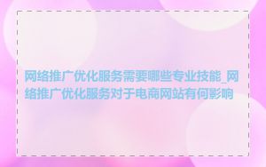 网络推广优化服务需要哪些专业技能_网络推广优化服务对于电商网站有何影响