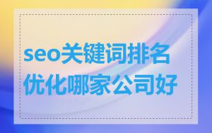 seo关键词排名优化哪家公司好