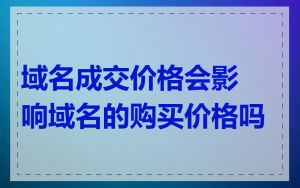 域名成交价格会影响域名的购买价格吗