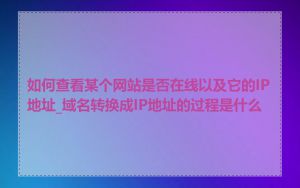 如何查看某个网站是否在线以及它的IP地址_域名转换成IP地址的过程是什么