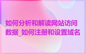 如何分析和解读网站访问数据_如何注册和设置域名
