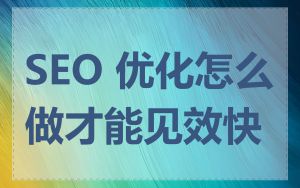 SEO 优化怎么做才能见效快