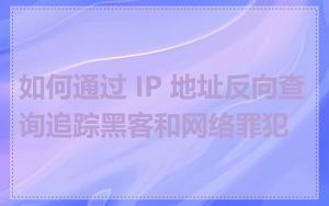 如何通过 IP 地址反向查询追踪黑客和网络罪犯