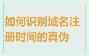 如何识别域名注册时间的真伪