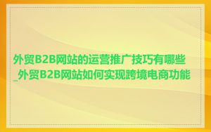 外贸B2B网站的运营推广技巧有哪些_外贸B2B网站如何实现跨境电商功能