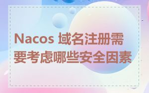 Nacos 域名注册需要考虑哪些安全因素