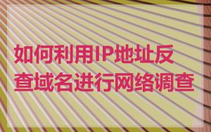 如何利用IP地址反查域名进行网络调查