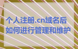 个人注册.cn域名后如何进行管理和维护