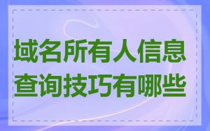 域名所有人信息查询技巧有哪些