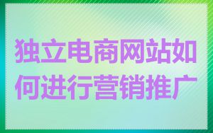 独立电商网站如何进行营销推广