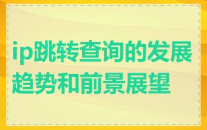 ip跳转查询的发展趋势和前景展望