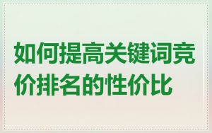 如何提高关键词竞价排名的性价比