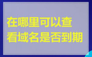 在哪里可以查看域名是否到期