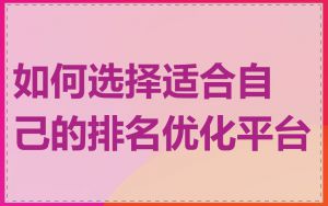 如何选择适合自己的排名优化平台