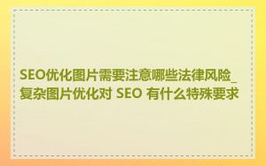 SEO优化图片需要注意哪些法律风险_复杂图片优化对 SEO 有什么特殊要求