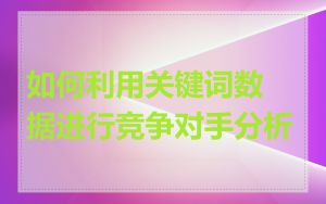 如何利用关键词数据进行竞争对手分析