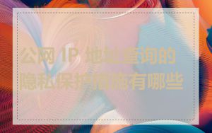 公网 IP 地址查询的隐私保护措施有哪些
