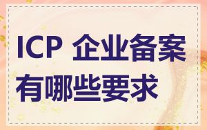 ICP 企业备案有哪些要求