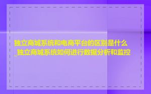 独立商城系统和电商平台的区别是什么_独立商城系统如何进行数据分析和监控
