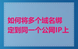 如何将多个域名绑定到同一个公网IP上