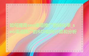 如何提高seo渠道推广的转化率_seo渠道推广的ROI如何计算和分析