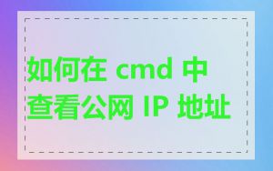如何在 cmd 中查看公网 IP 地址