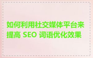 如何利用社交媒体平台来提高 SEO 词语优化效果