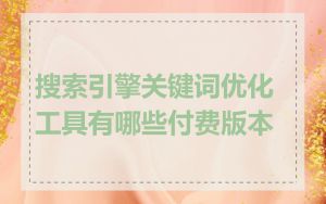 搜索引擎关键词优化工具有哪些付费版本