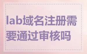 lab域名注册需要通过审核吗