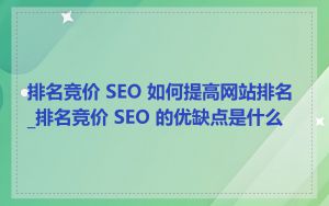 排名竞价 SEO 如何提高网站排名_排名竞价 SEO 的优缺点是什么