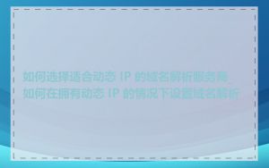 如何选择适合动态 IP 的域名解析服务商_如何在拥有动态 IP 的情况下设置域名解析