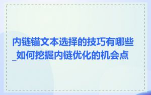 内链锚文本选择的技巧有哪些_如何挖掘内链优化的机会点