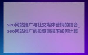 seo网站推广与社交媒体营销的结合_seo网站推广的投资回报率如何计算