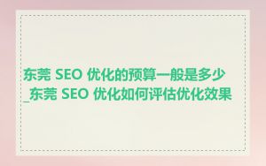 东莞 SEO 优化的预算一般是多少_东莞 SEO 优化如何评估优化效果