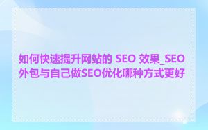 如何快速提升网站的 SEO 效果_SEO外包与自己做SEO优化哪种方式更好