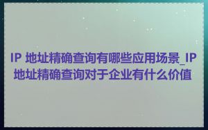 IP 地址精确查询有哪些应用场景_IP 地址精确查询对于企业有什么价值