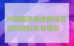 内网服务器使用域名访问的好处有哪些