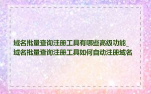 域名批量查询注册工具有哪些高级功能_域名批量查询注册工具如何自动注册域名