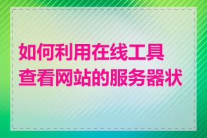 如何利用在线工具查看网站的服务器状态