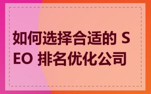 如何选择合适的 SEO 排名优化公司