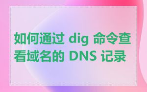 如何通过 dig 命令查看域名的 DNS 记录