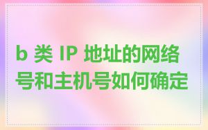 b 类 IP 地址的网络号和主机号如何确定