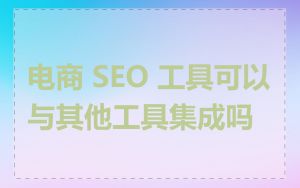 电商 SEO 工具可以与其他工具集成吗