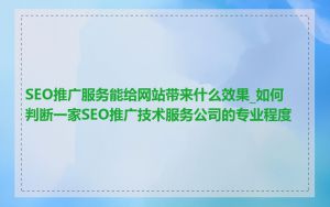 SEO推广服务能给网站带来什么效果_如何判断一家SEO推广技术服务公司的专业程度